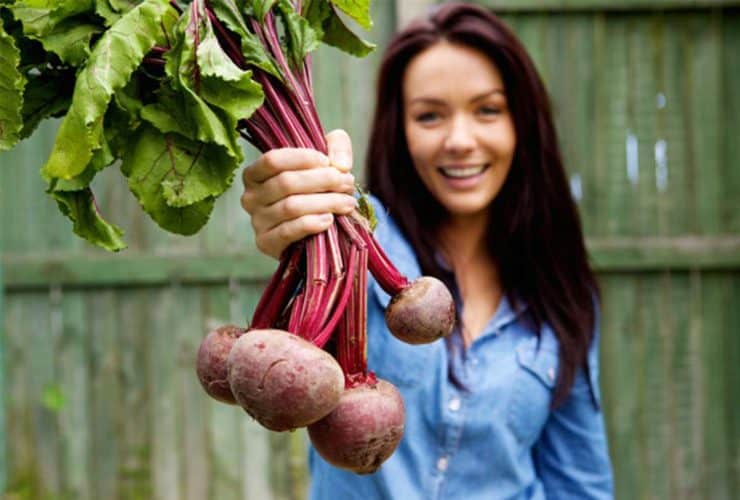 فوائد الشمندر للشعر