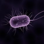 هذه البكتيريا قد تؤدي إلى الوفاة!