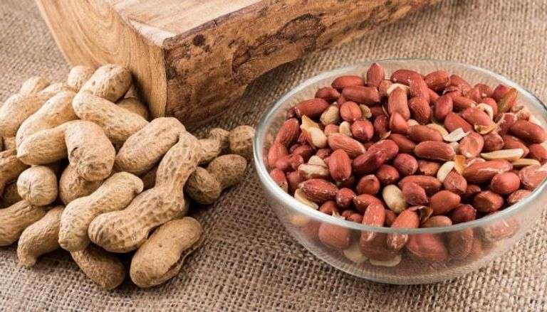 3 مكسرات يحذر من تناولها نيئة.. تحتوي على مواد سامة