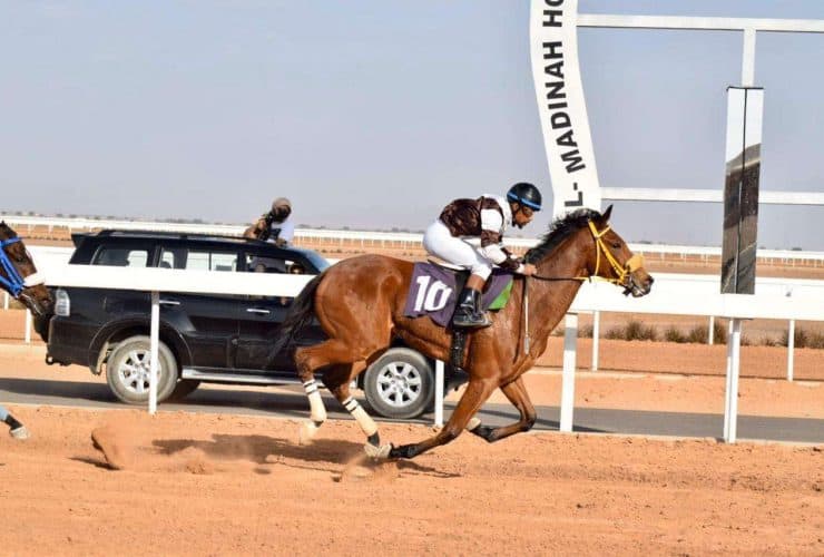 ميدان الفروسية