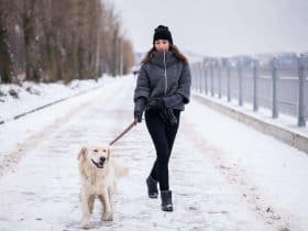 نصائح ذهبية للحفاظ على رشاقتك في الشتاء