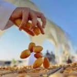 كرنفال بريدة للتمور