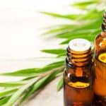 زيت شجرة الشاي