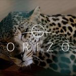 وثائقي هورايزن