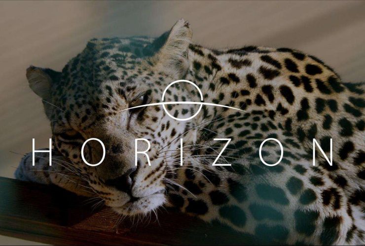 وثائقي هورايزن