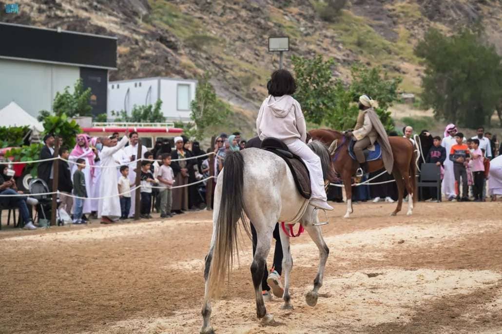 راوي الحي