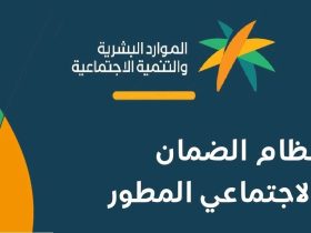 ما هي طريقة تعويض المستفيد من الضمان عن الدفعة غير المحتسبة؟