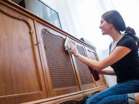 العناية بالأثاث في المنزل