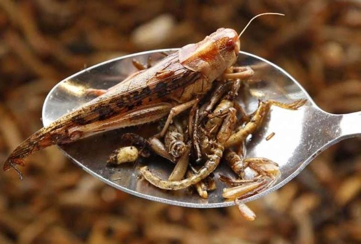 صورة موضوعية تكشف عن فوائد تناول الجرائد