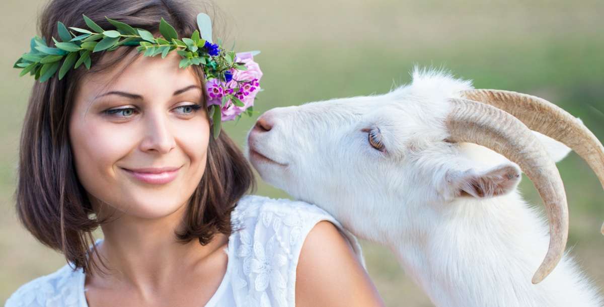 فوائد لبن الماعز