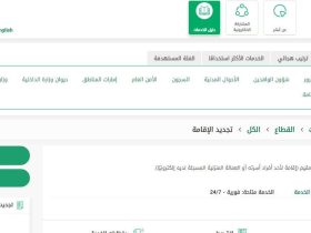الاستعلام عن صلاحية الإقامة برقم الإقامة