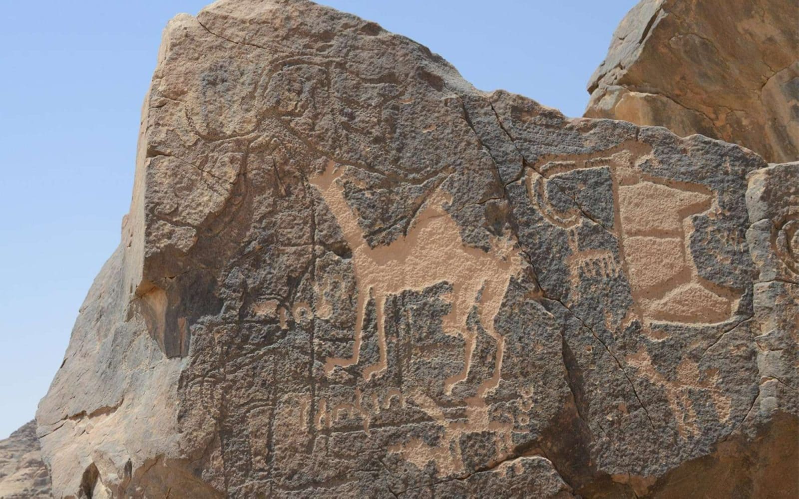 آثار القويمس وجبة