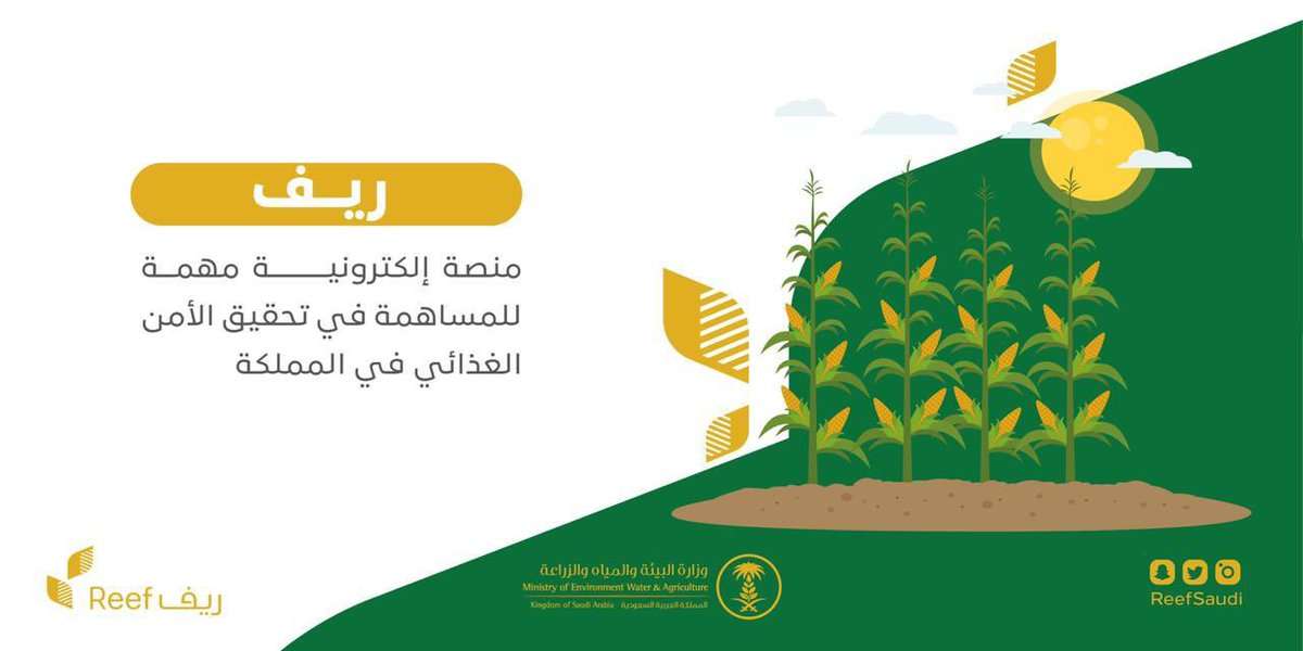 دعم ريف
