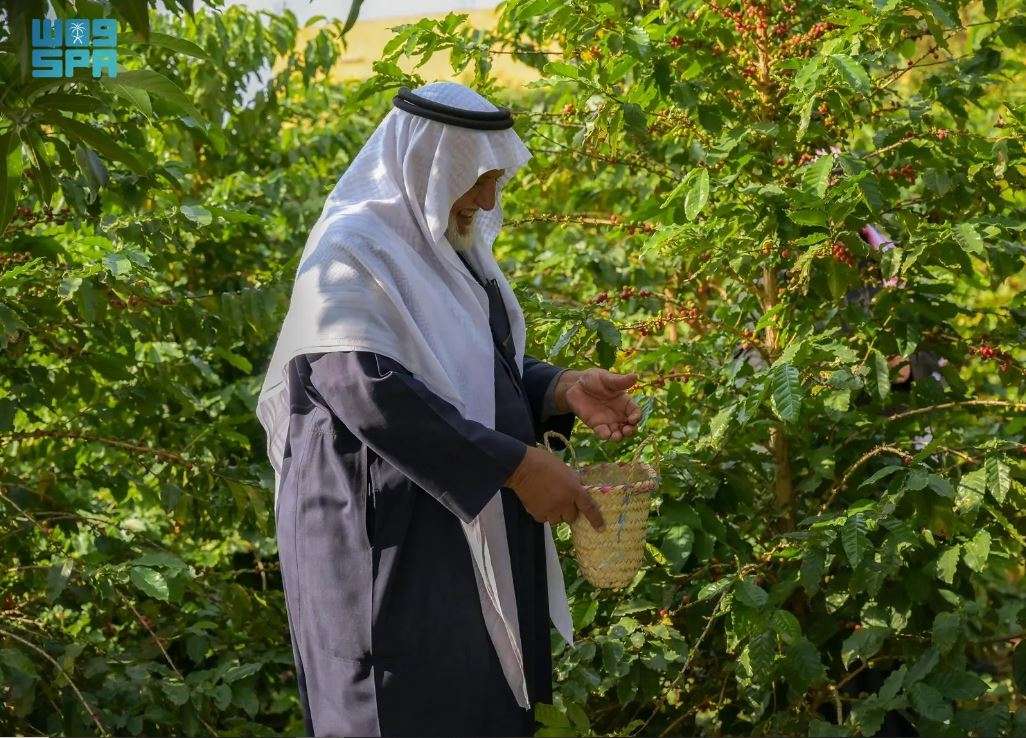 كهوف شدا