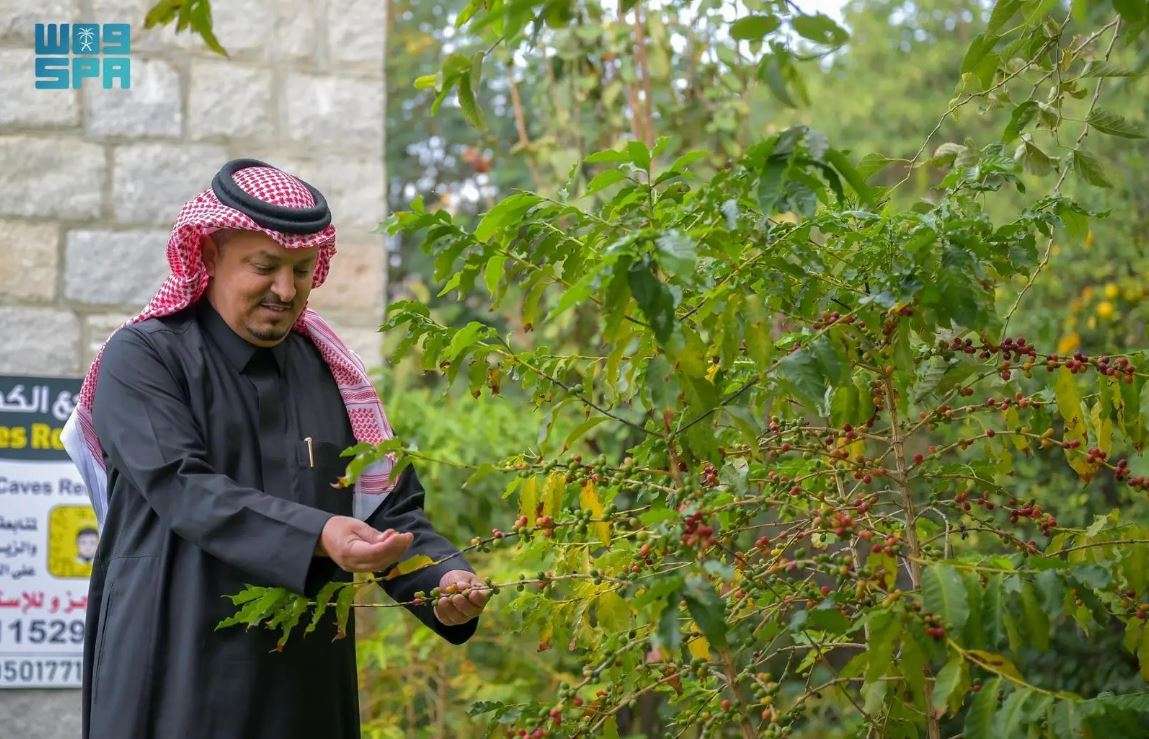 كهوف شدا