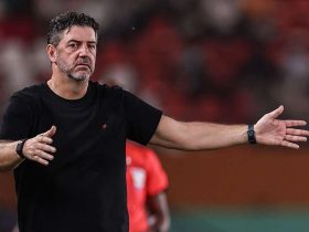 البرتغالي روي فيتوريا