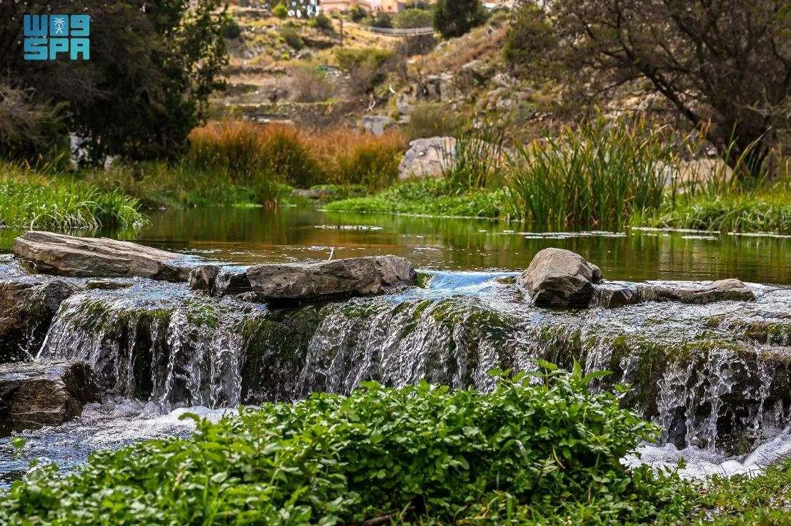 وادي الحمدة
