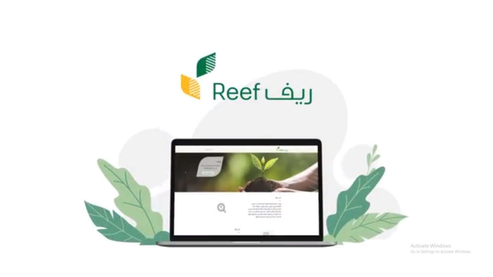 الاستعلام عن برنامج ريف