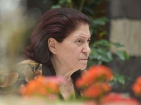 الفنانة السورية ثناء دبسي