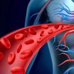 الشريان التاجي (صورة تعبيرية)