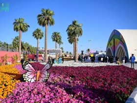 مهرجان الزهور والحدائق بينبع