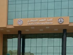كلية الطب البيطري