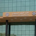 كلية الطب البيطري