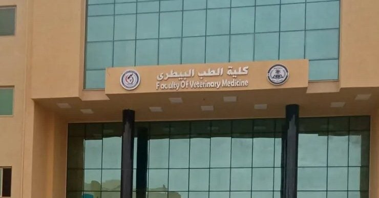 كلية الطب البيطري