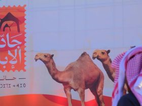 مهرجان جادة الإبل