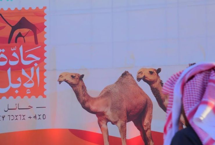 مهرجان جادة الإبل