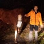 اللص وبرفقته الحصان المسروق