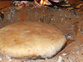 خبر الملة