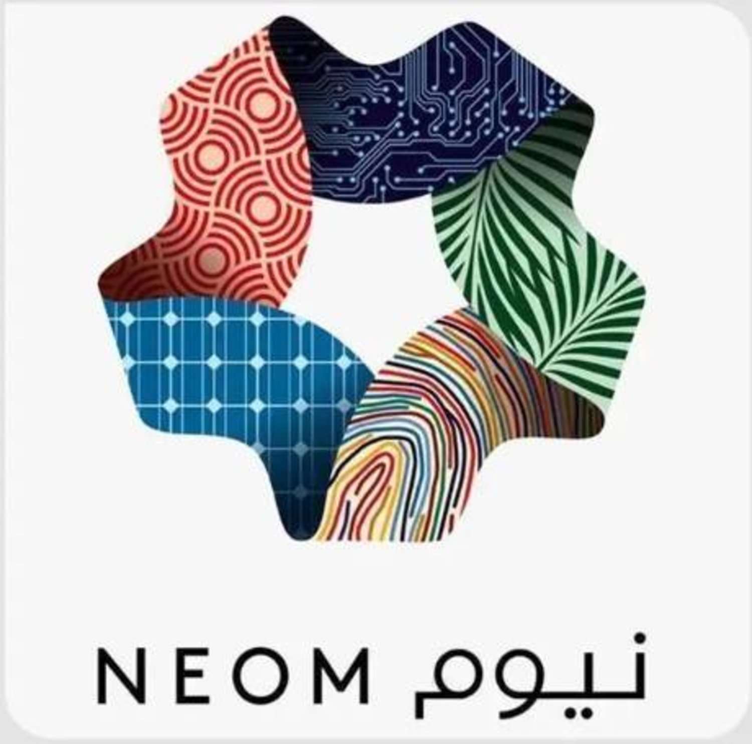 برنامج نيوم