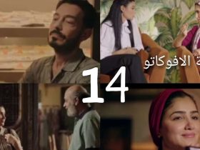 مسلسل نعمة الأفوكاتو الحلقة 14