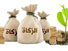 زكاة الفطر في السعودية 2024