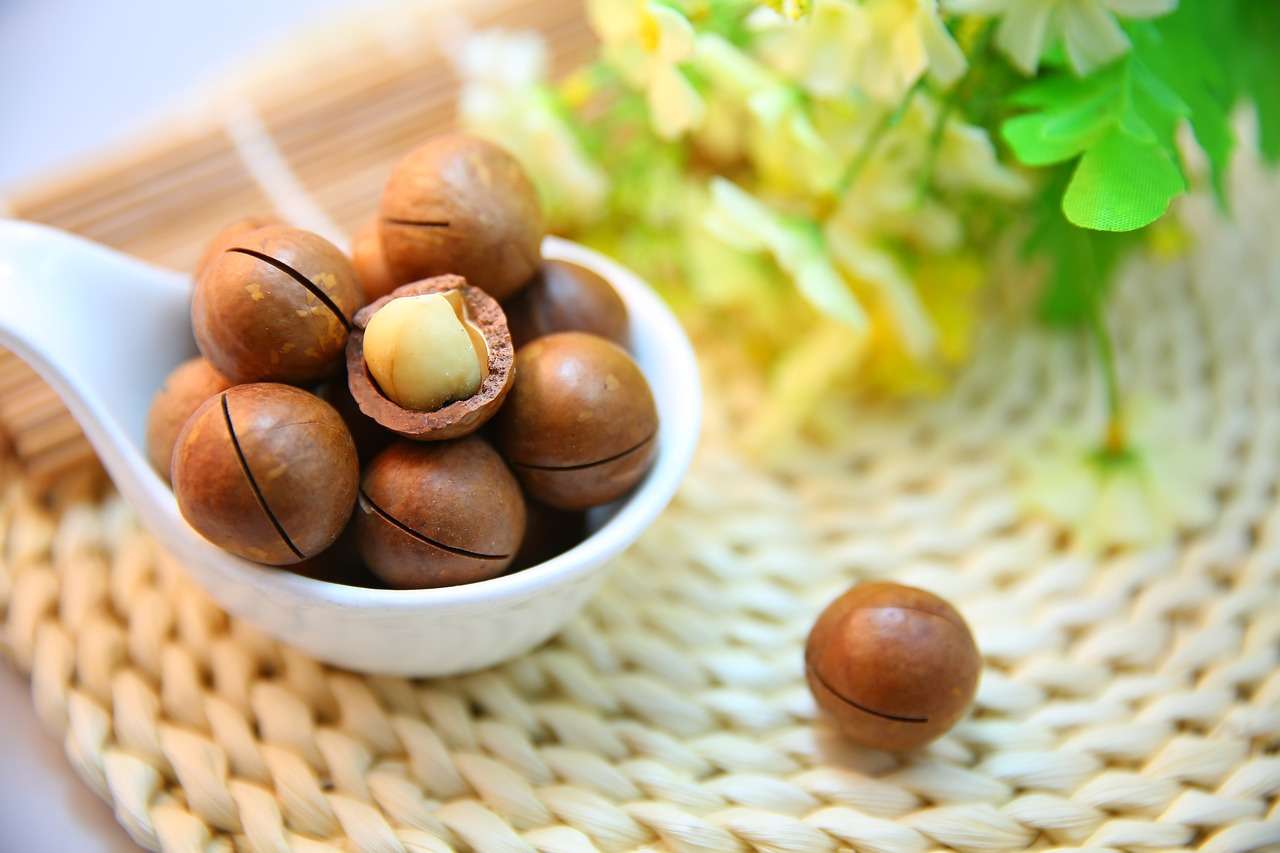 تسالي خطر على صحتك في العيد أبرزها الترمس والسوداني