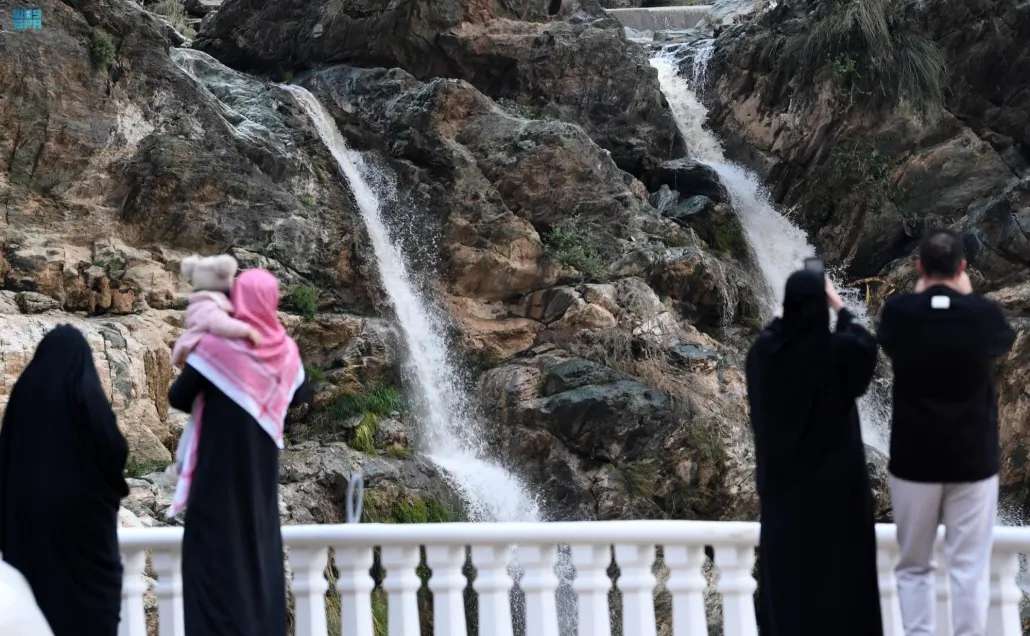 «أشجار الجاكرندا» تزين عسير