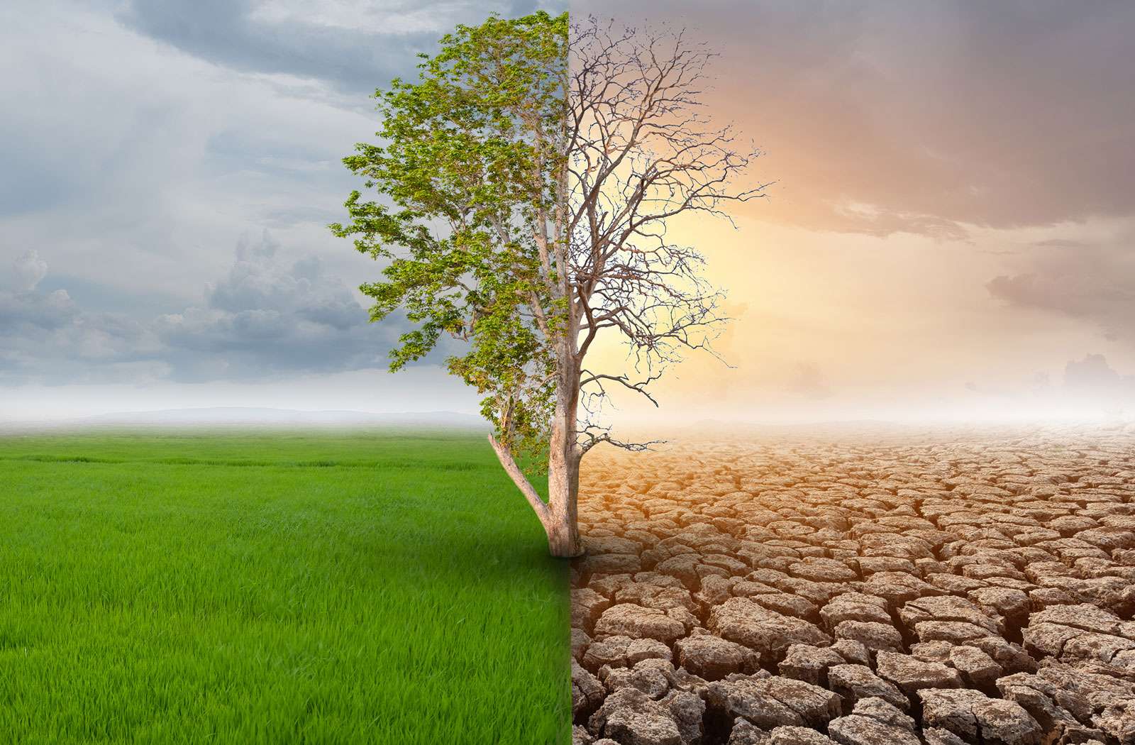 الأمم المتحدة تحذر من تغير المناخ