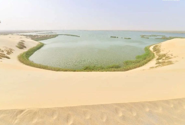 المحميات الطبيعية في المملكة