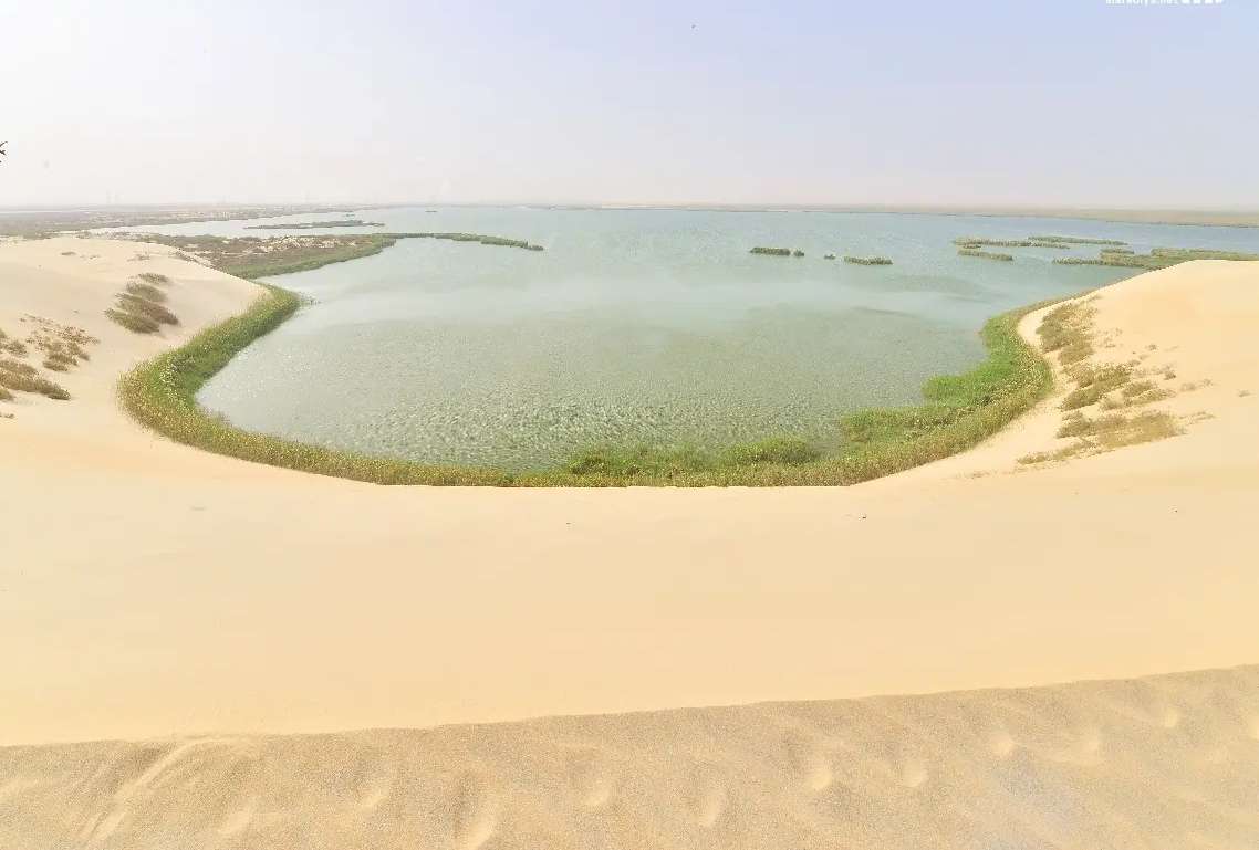المحميات الطبيعية في المملكة