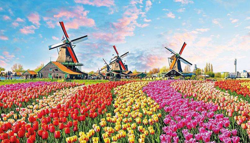 السعودية تستهدف إنتاج 2 مليار وردة