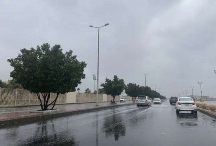 حالة الطقس اليوم السبت في المملكة