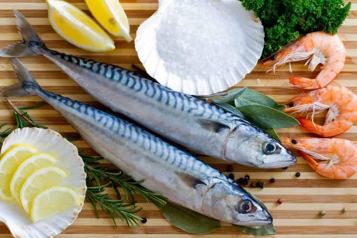 طريقة تحضير سمك التونة في المنزل