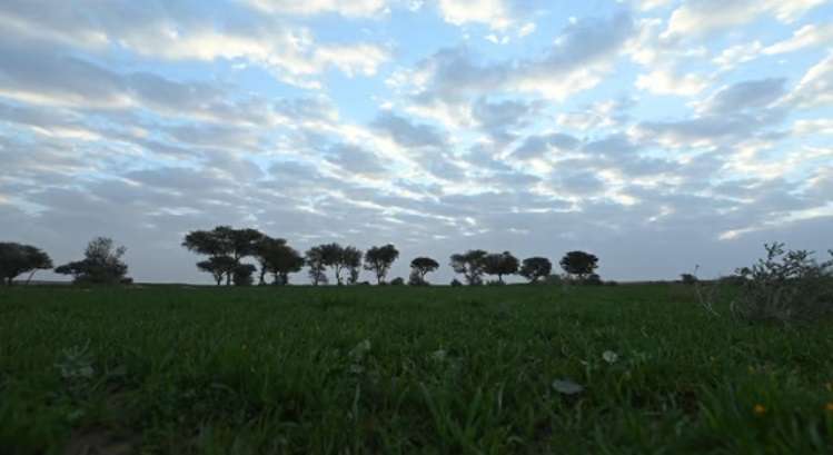 محمية الإمام تركي بن عبدالله الملكية