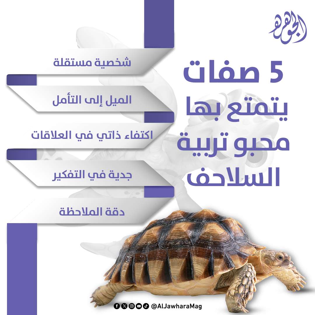 5 صفات يتمتع بها محبو تربية السلاحف