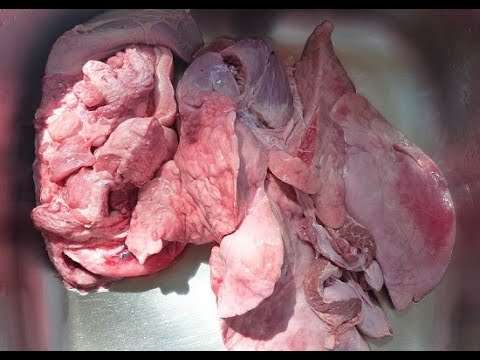 أسهل طريقة لتنظيف الفشة وطهيها
