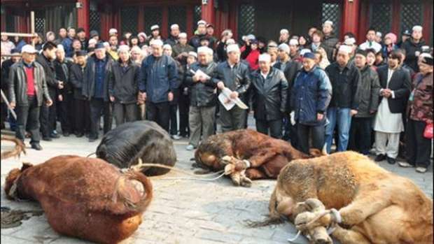 أغرب 5 طقوس للاحتفال بعيد الأضحى حول العالم