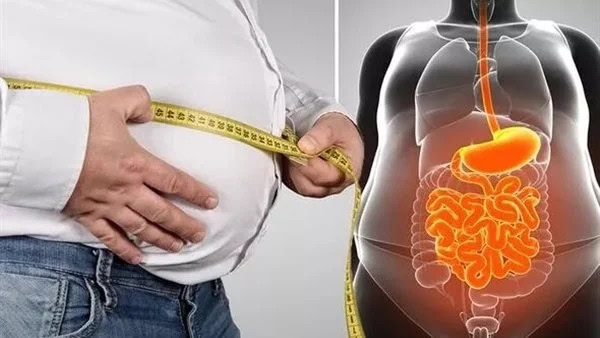 الدهون الحشوية.. 5 أسباب تجبرك على التخلص منها