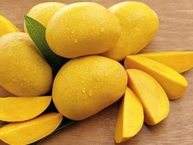 6 أسباب لنقع المانجو في الماء قبل الأكل