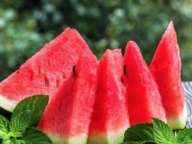 أفكار إبداعية للاستفادة من البطيخة غير الصالحة للأكل